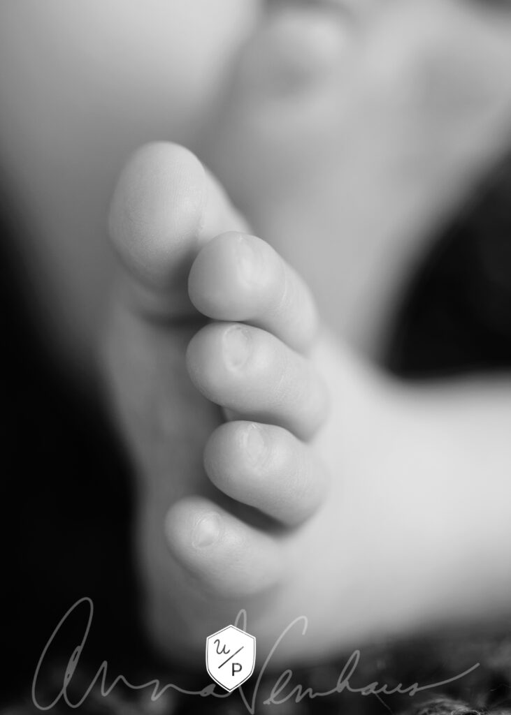 black and white photo of newborn's feet