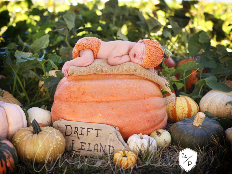 newborn baby in pumpkin outfit photographed in a pumpkin patch